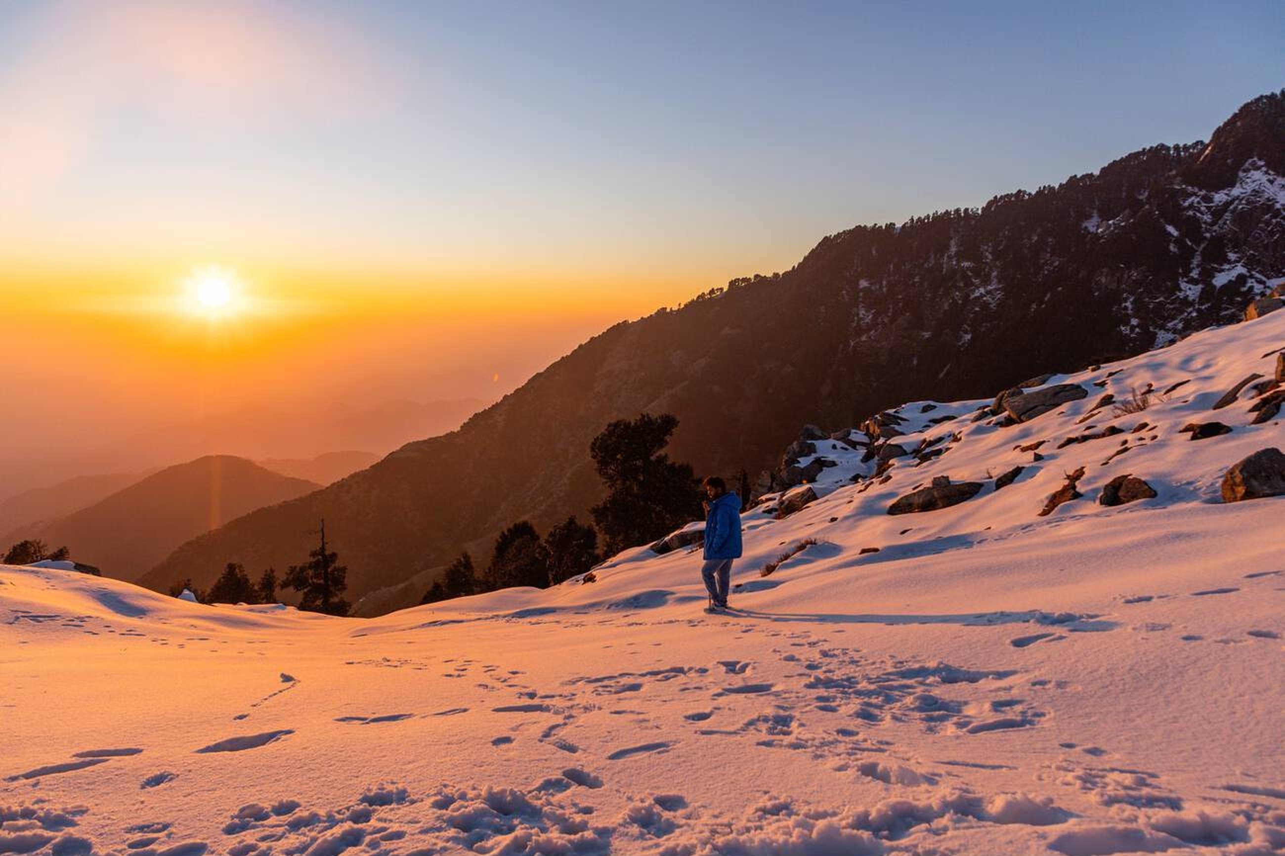 Alpine meadows with Himalayan backdrop