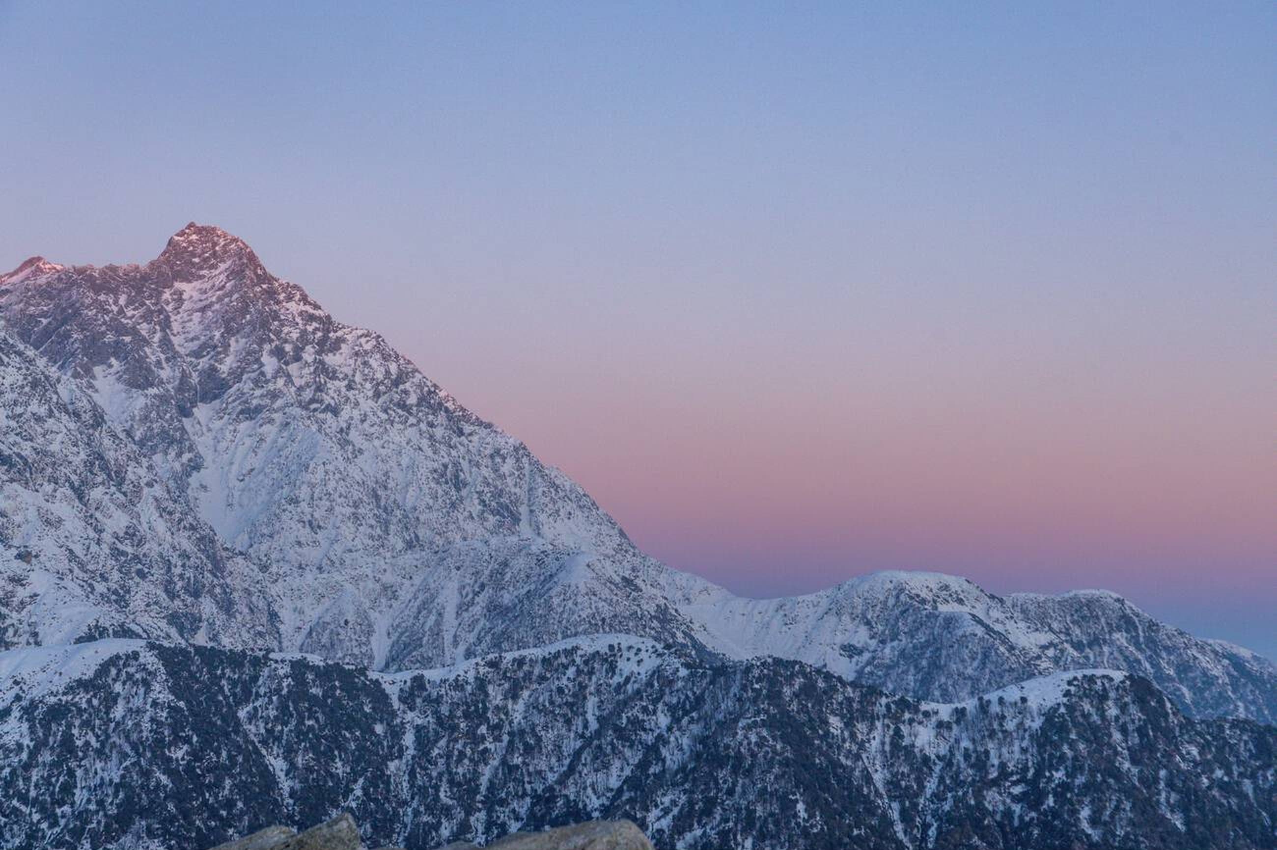 Colorful flowers in the Valley of Flowers