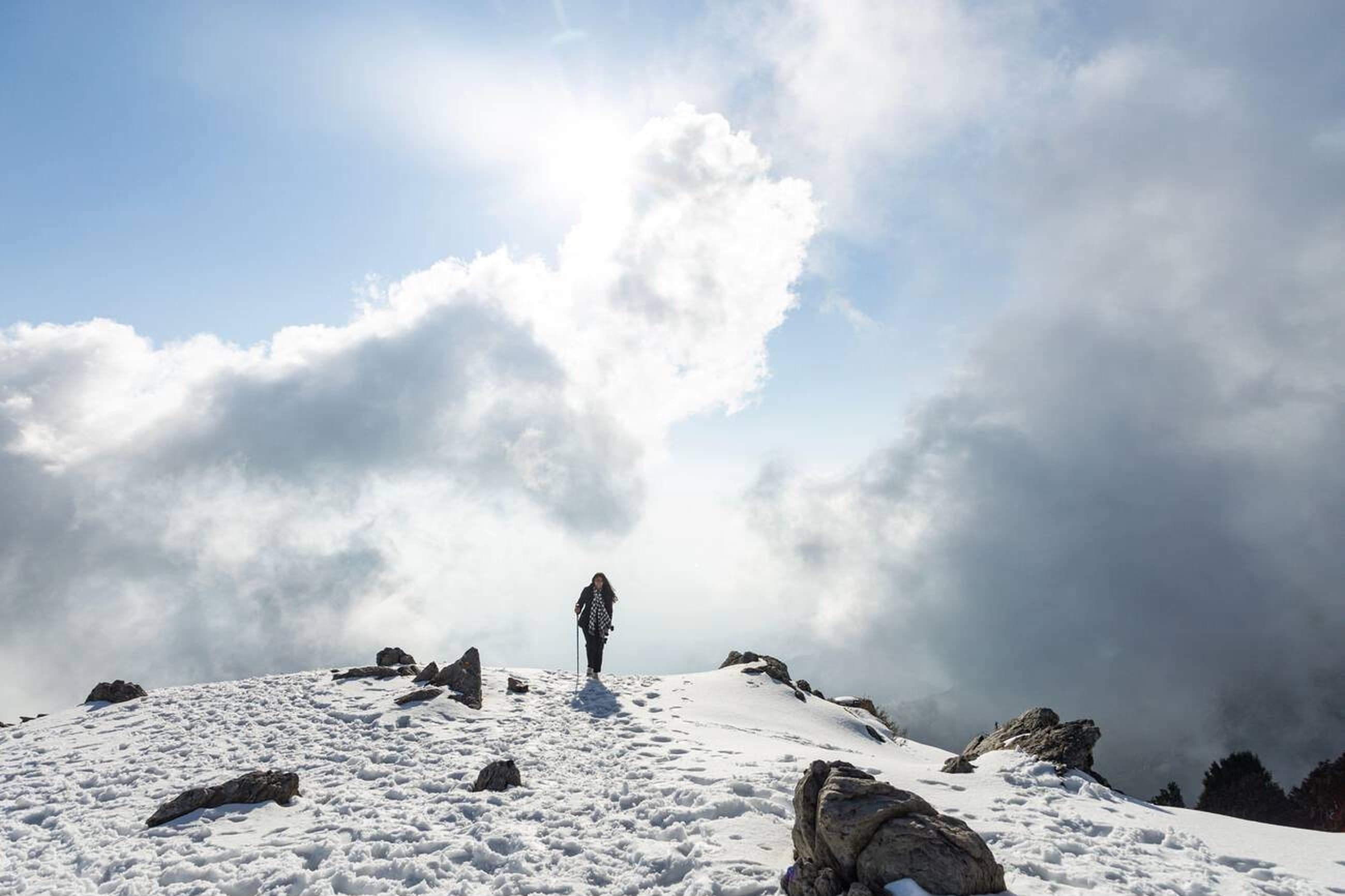 Alpine meadows with Himalayan backdrop