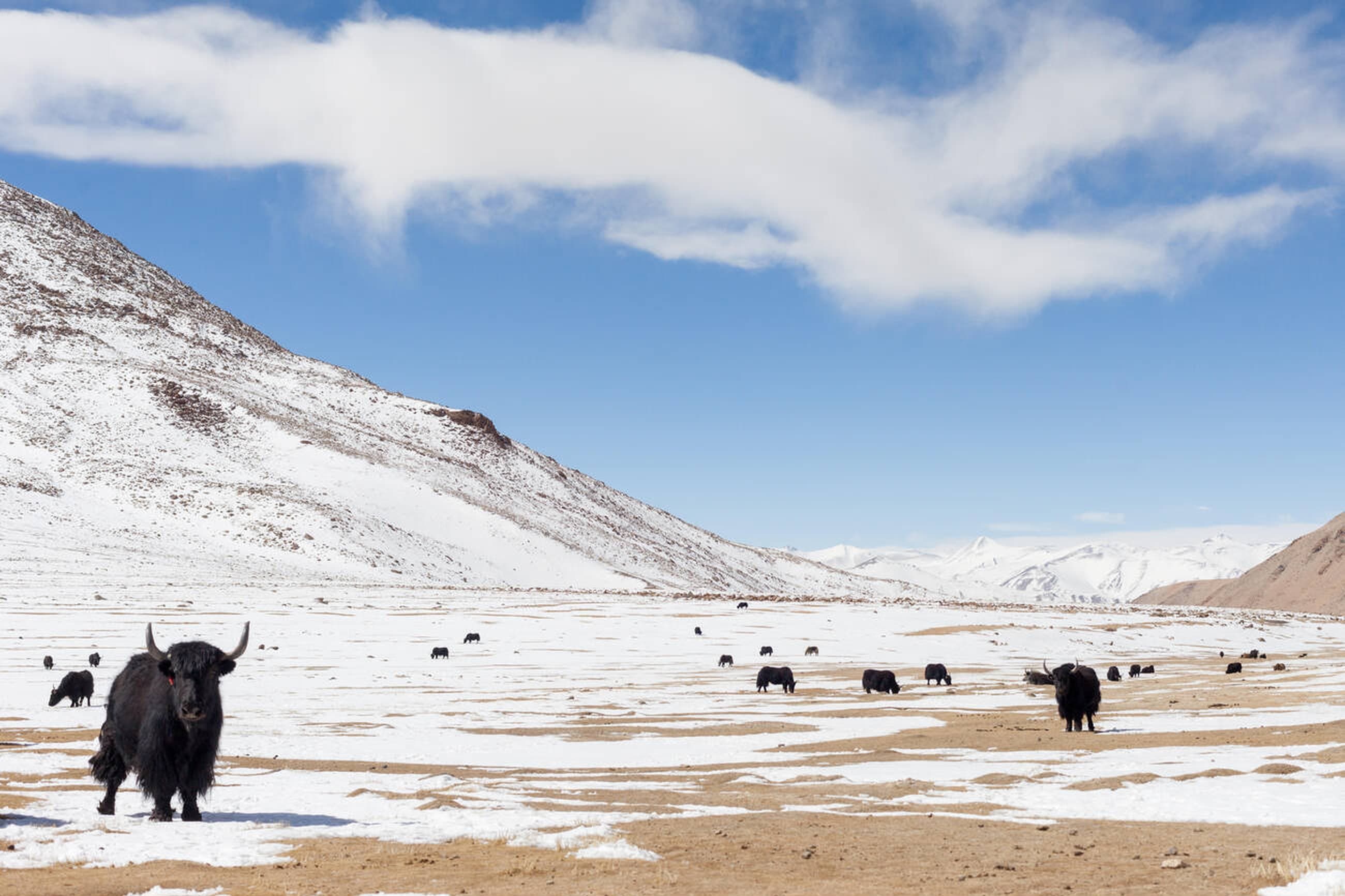 Hemkund Sahib Gurudwara