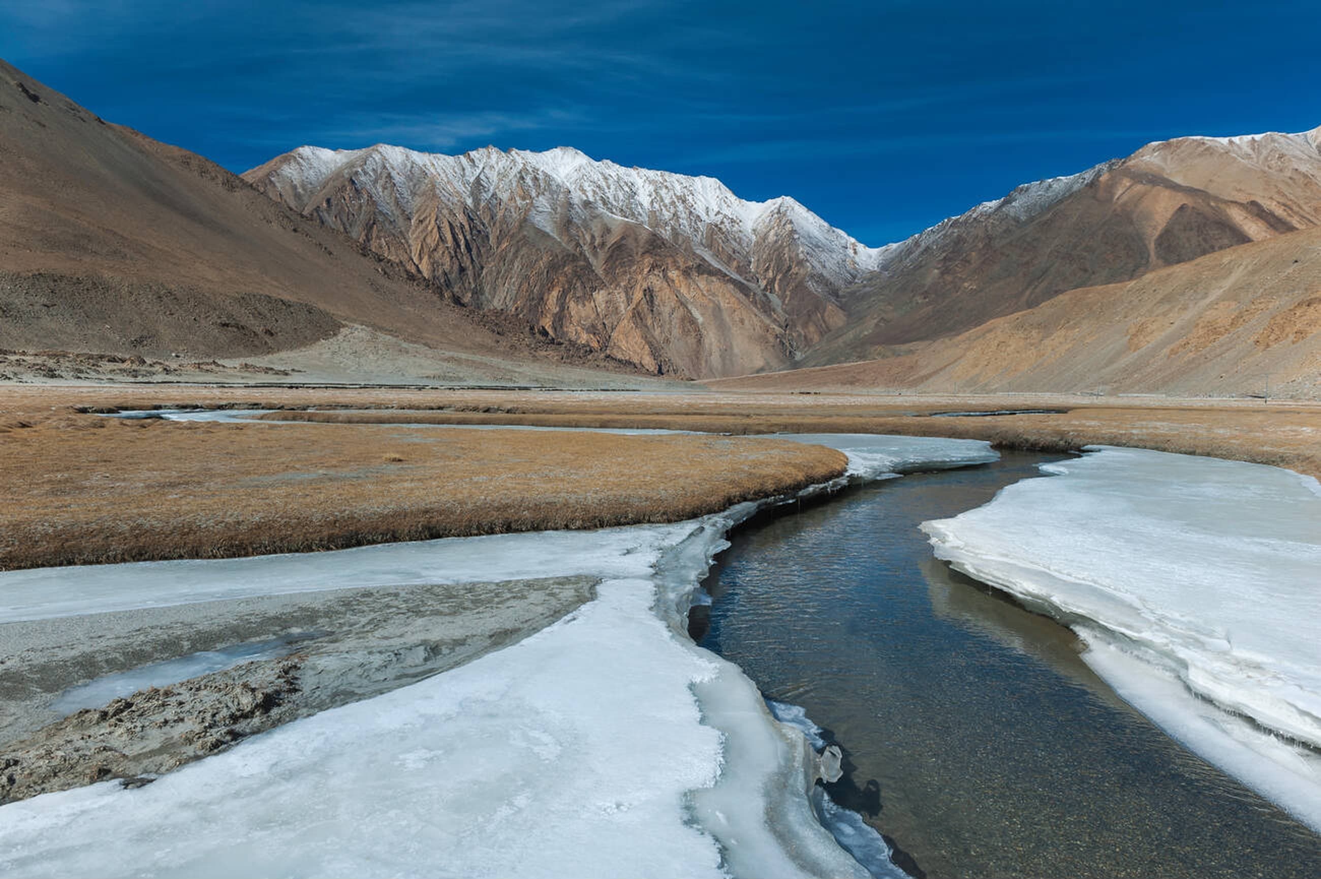 Alpine meadows with Himalayan backdrop