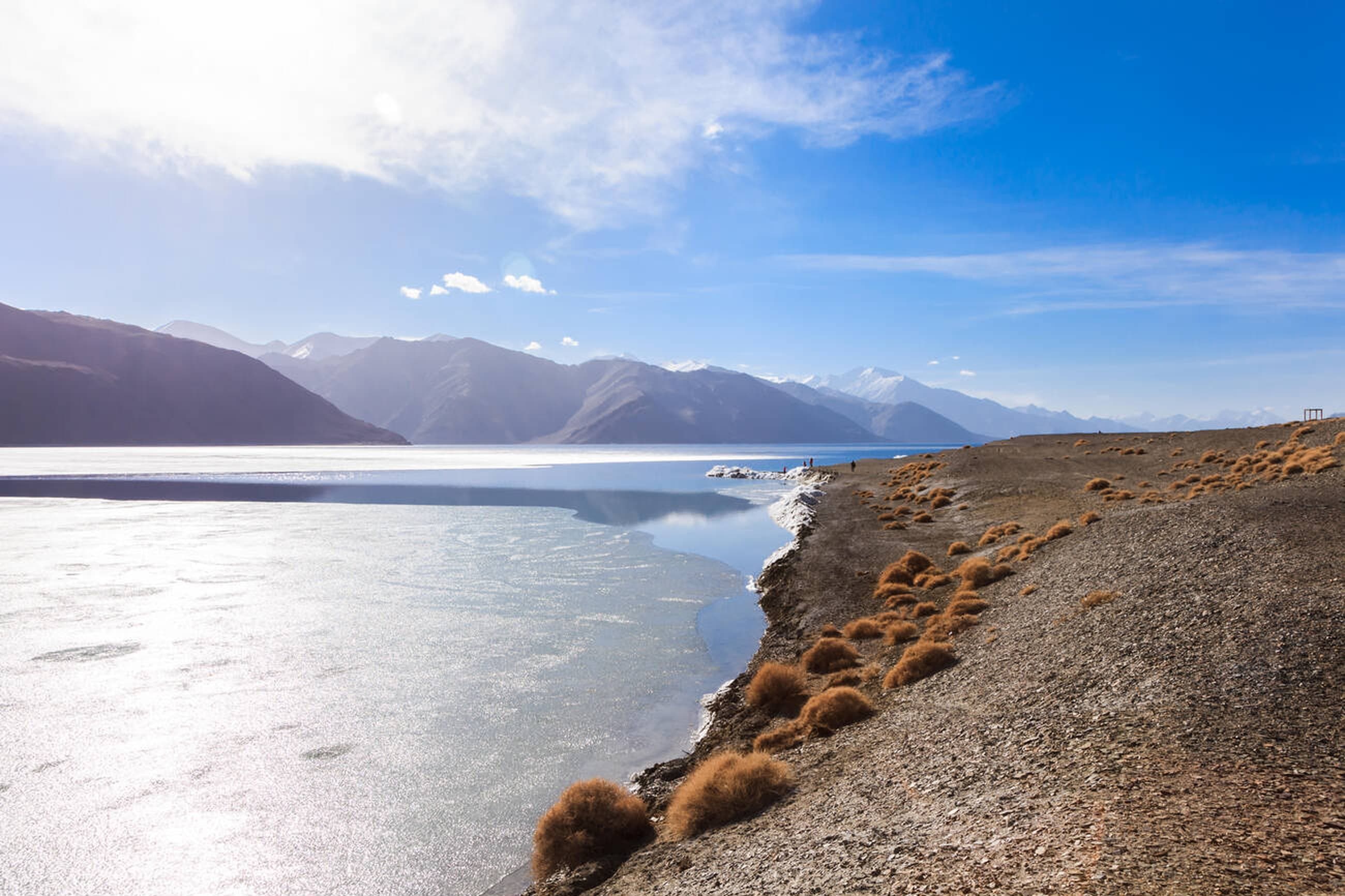 Alpine meadows with Himalayan backdrop