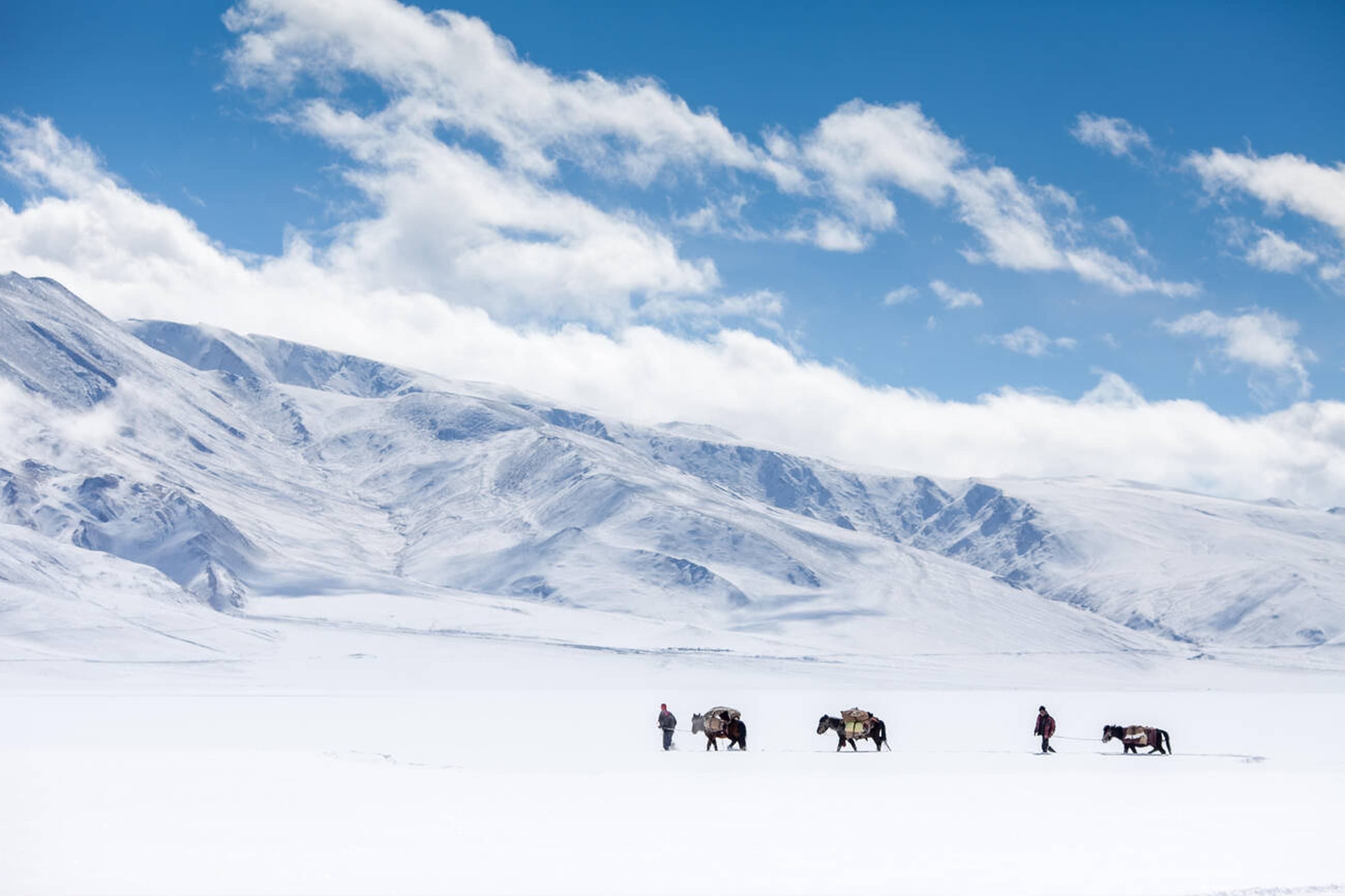 Alpine meadows with Himalayan backdrop