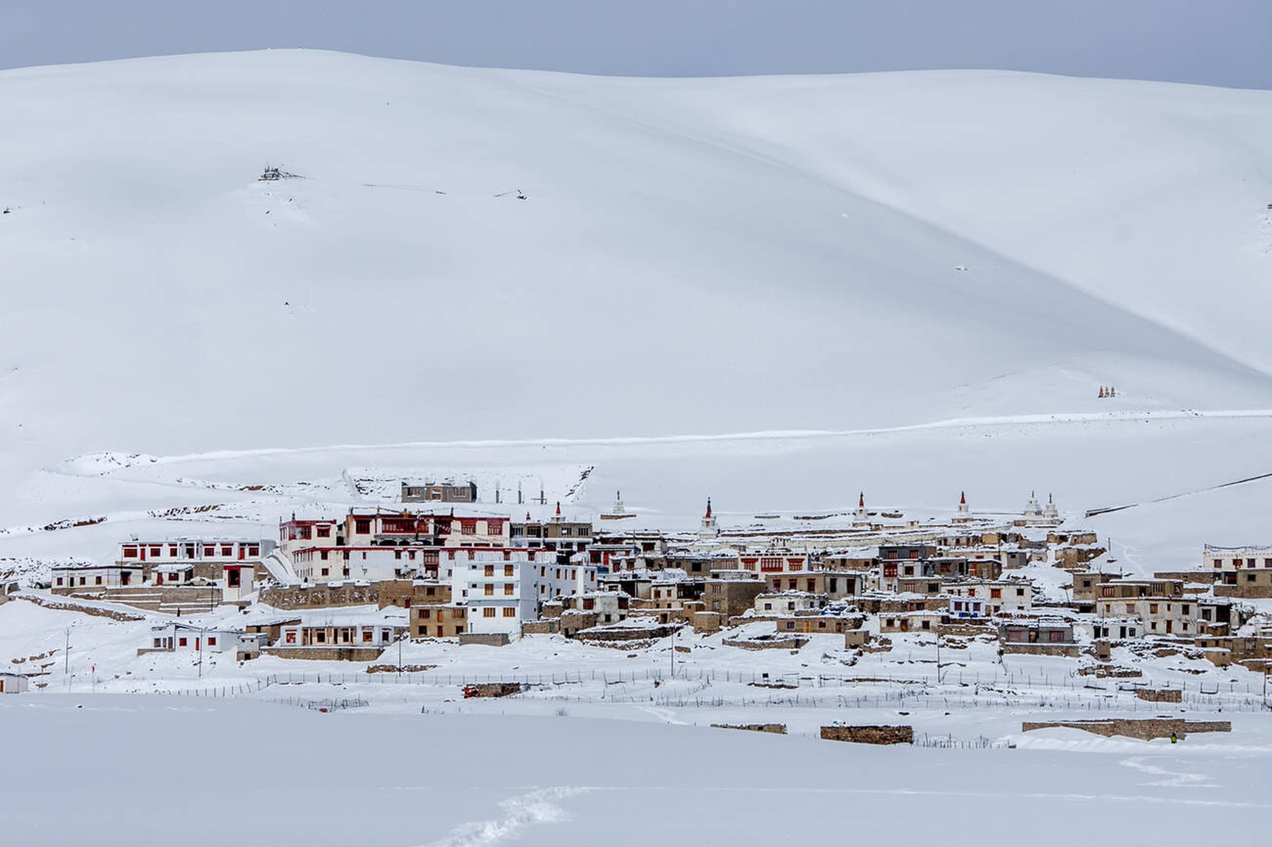 Alpine meadows with Himalayan backdrop