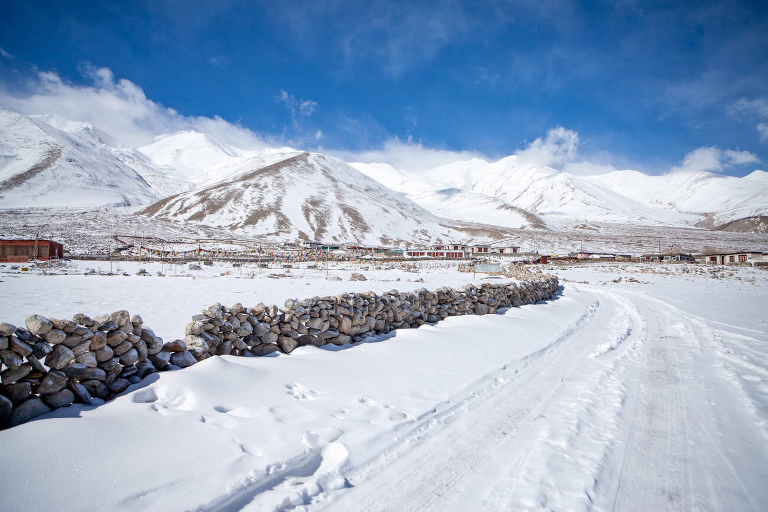 Alpine meadows with Himalayan backdrop