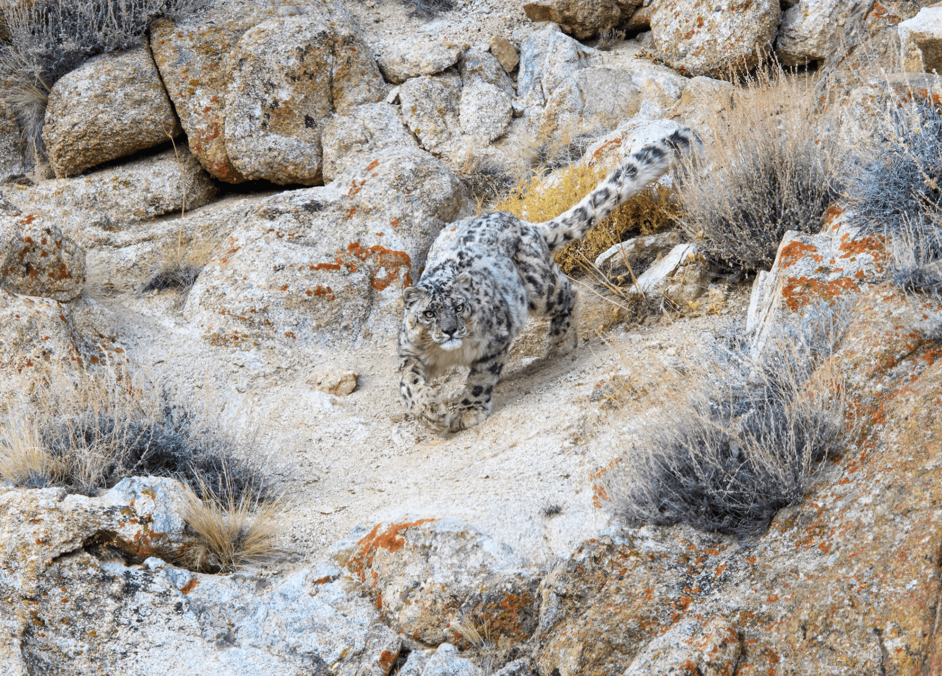 Scenic Views of Mon District