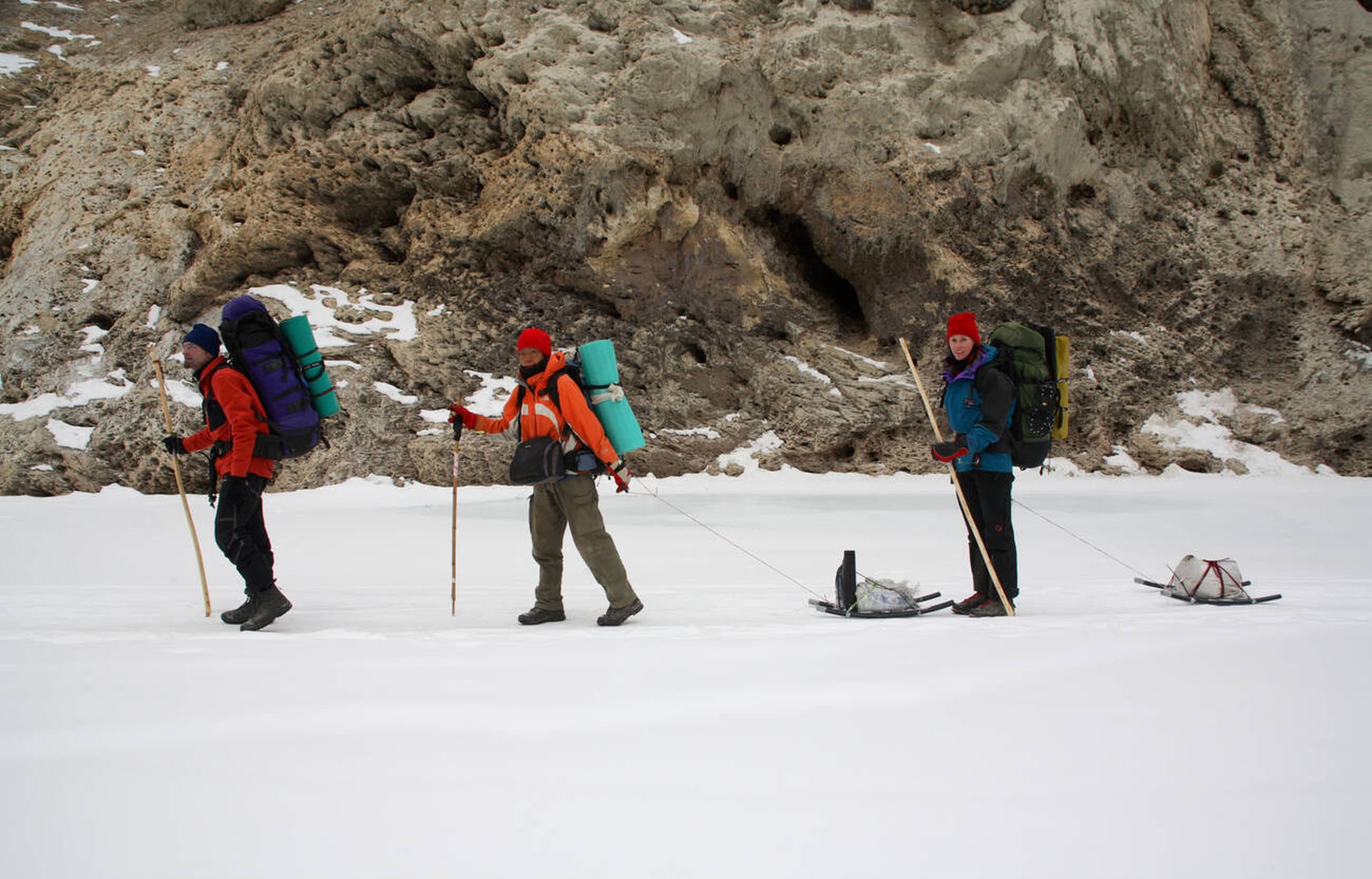 Colorful flowers in the Valley of Flowers