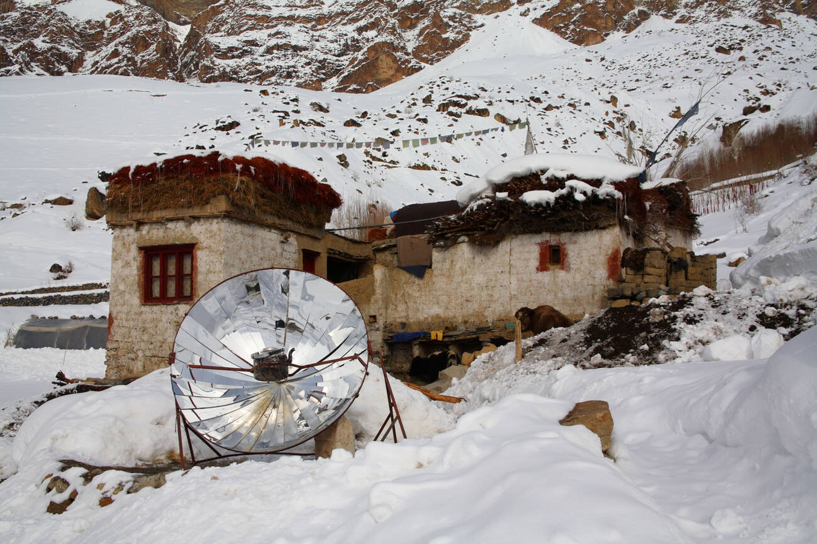Alpine meadows with Himalayan backdrop
