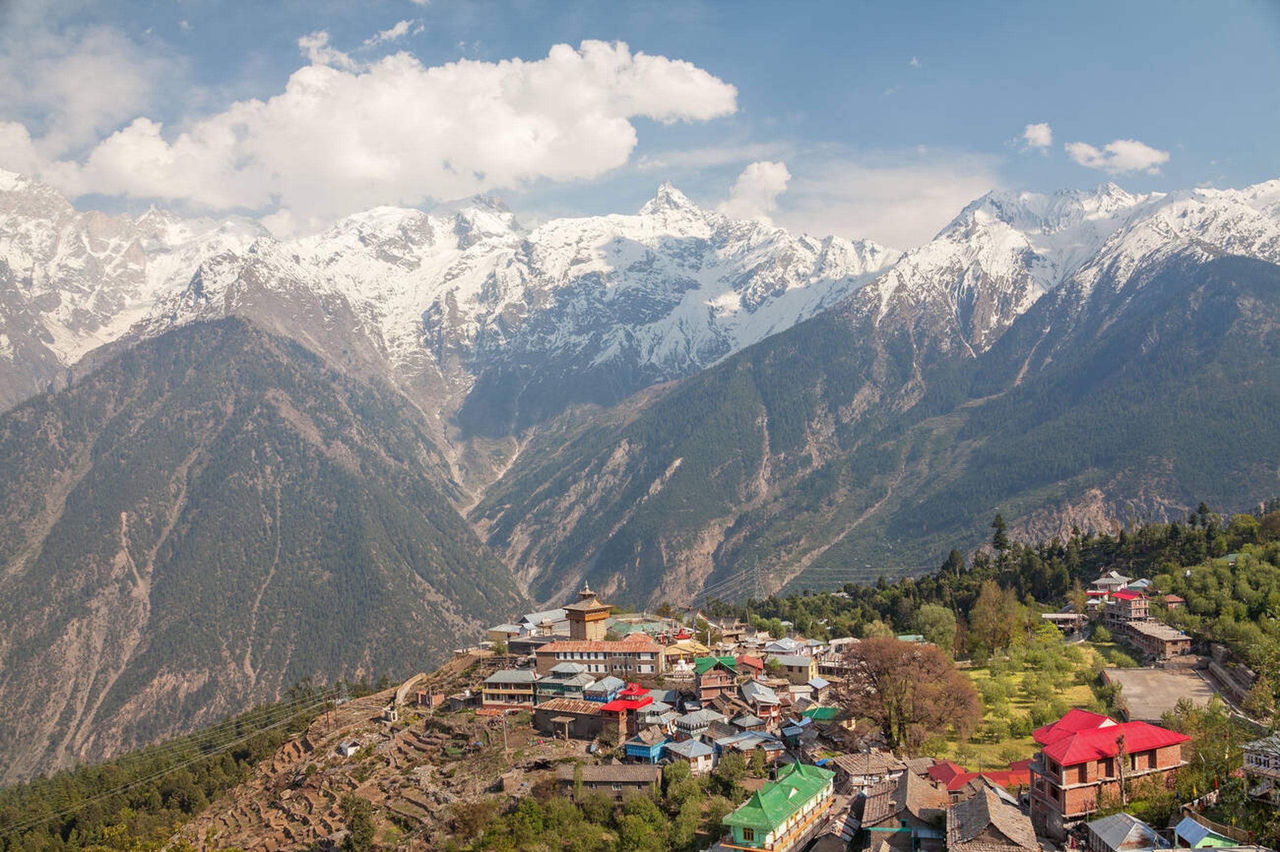 The Kinnaur–Tirthan Circuit: Premium SUV Tour of the Himalayas