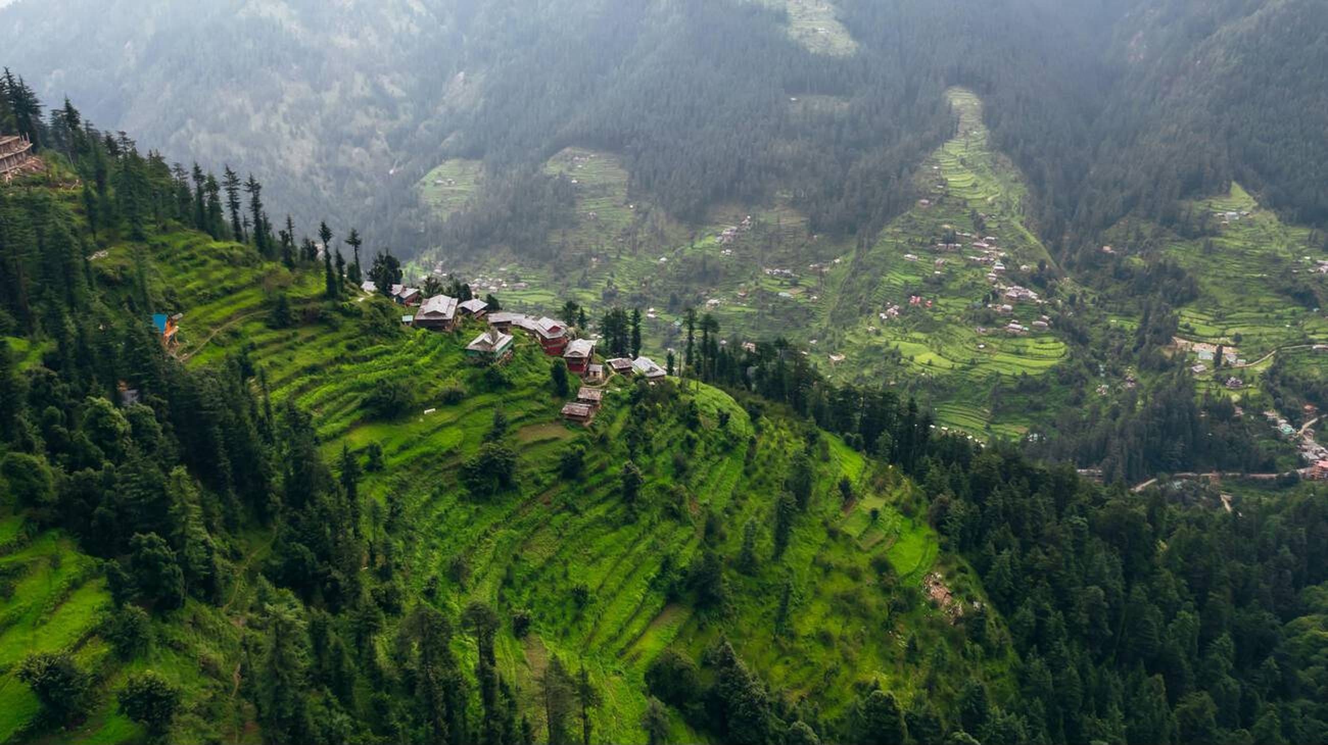 Alpine meadows with Himalayan backdrop