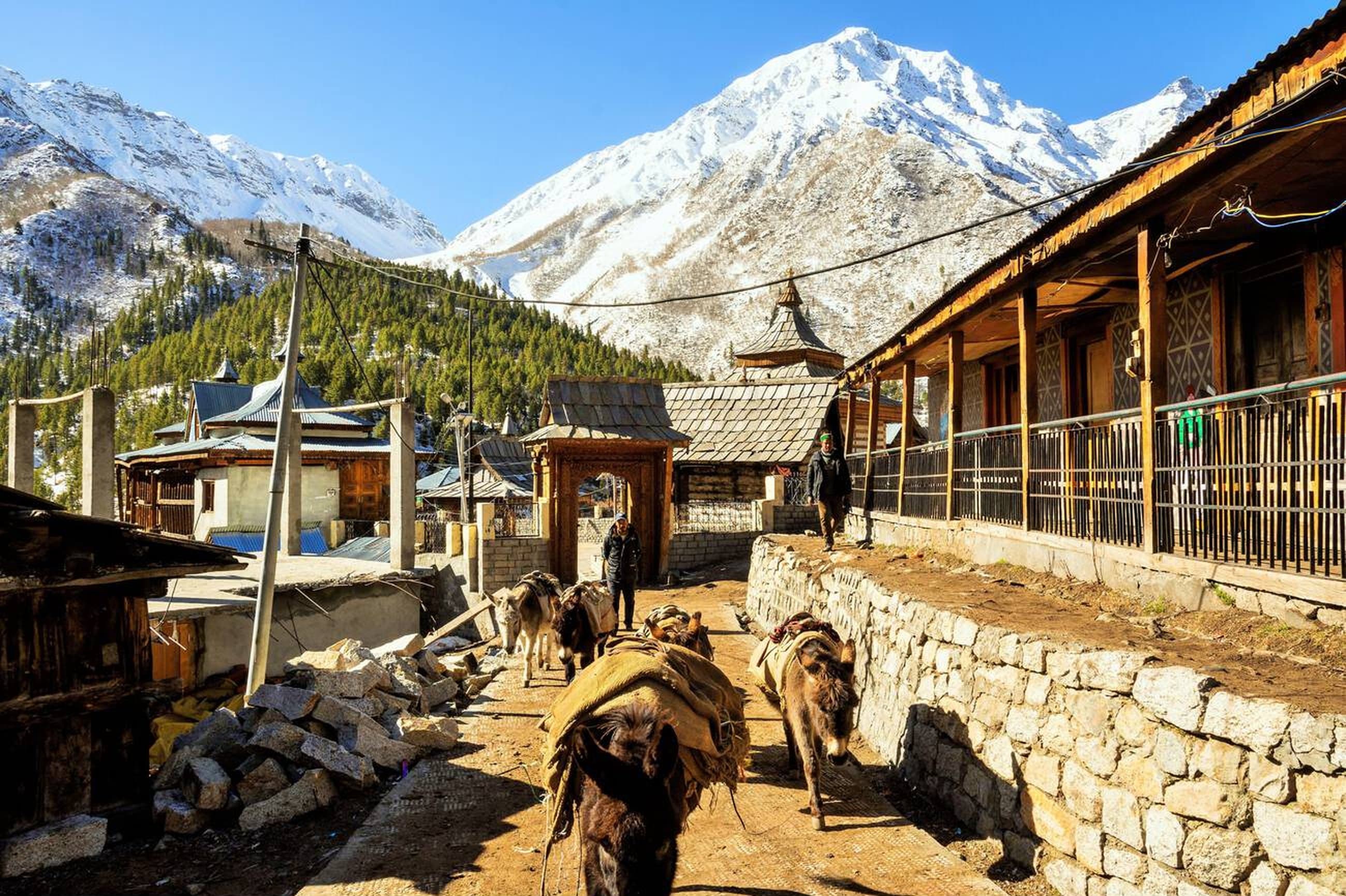 Alpine meadows with Himalayan backdrop
