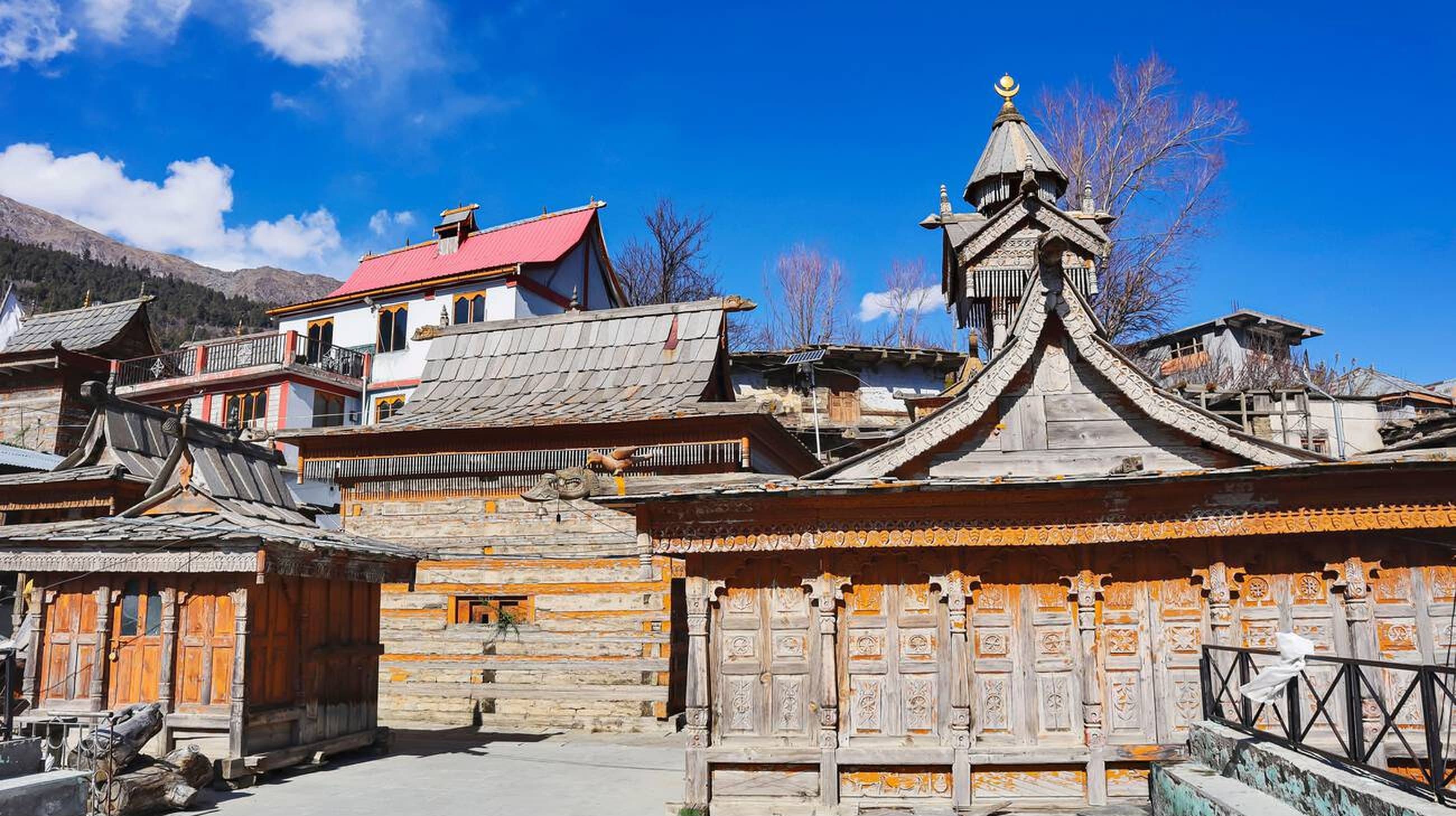 Alpine meadows with Himalayan backdrop