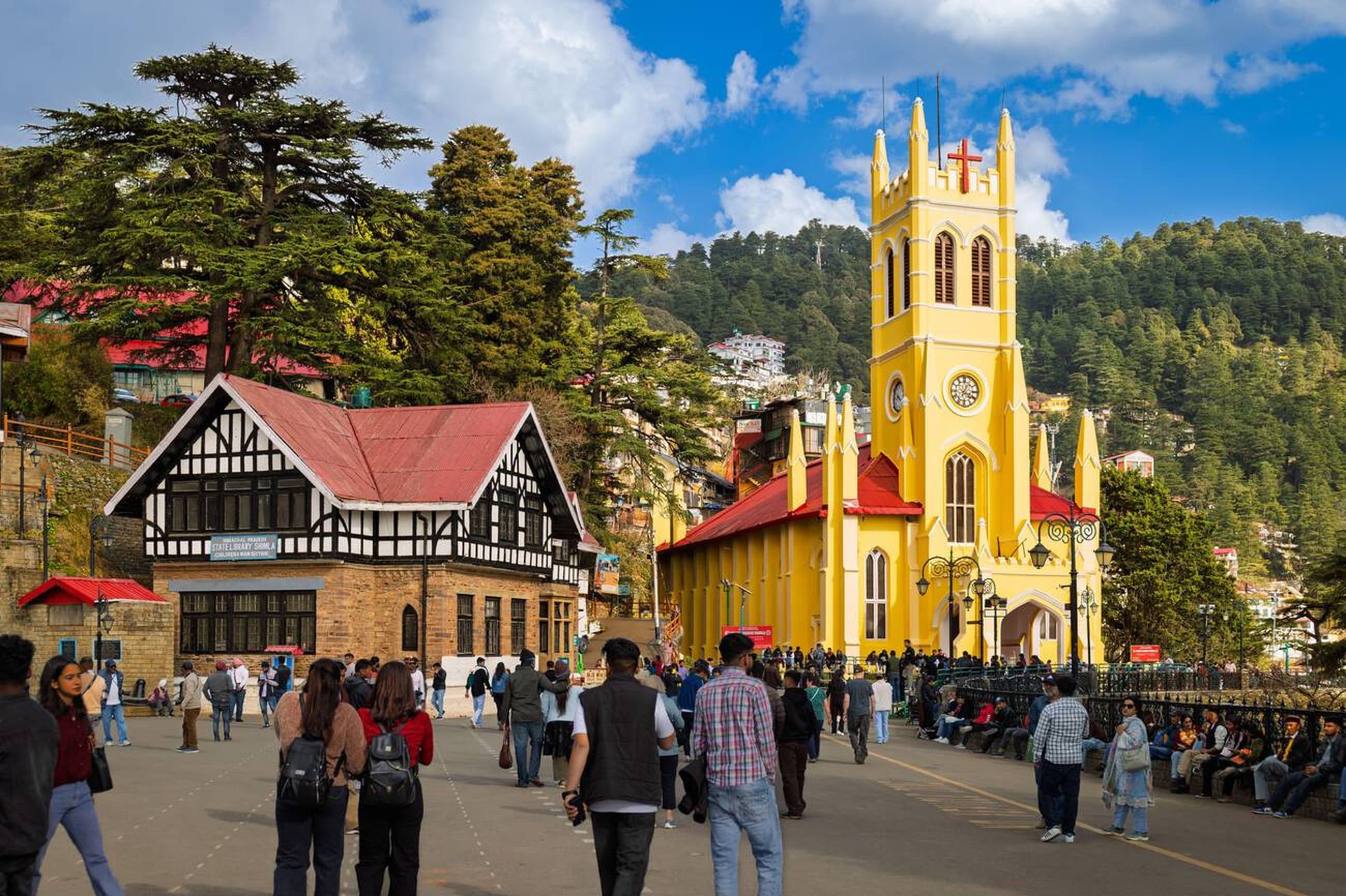 Alpine meadows with Himalayan backdrop
