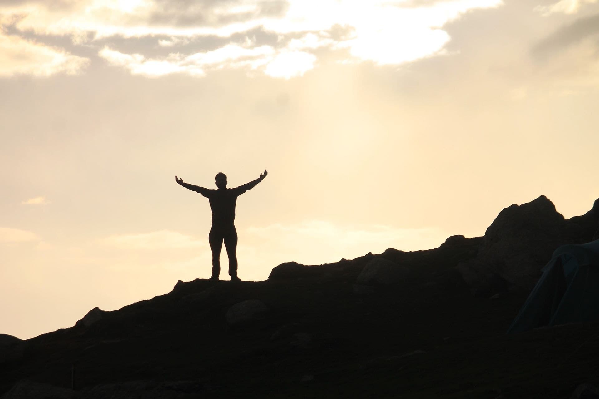 Colorful flowers in the Valley of Flowers