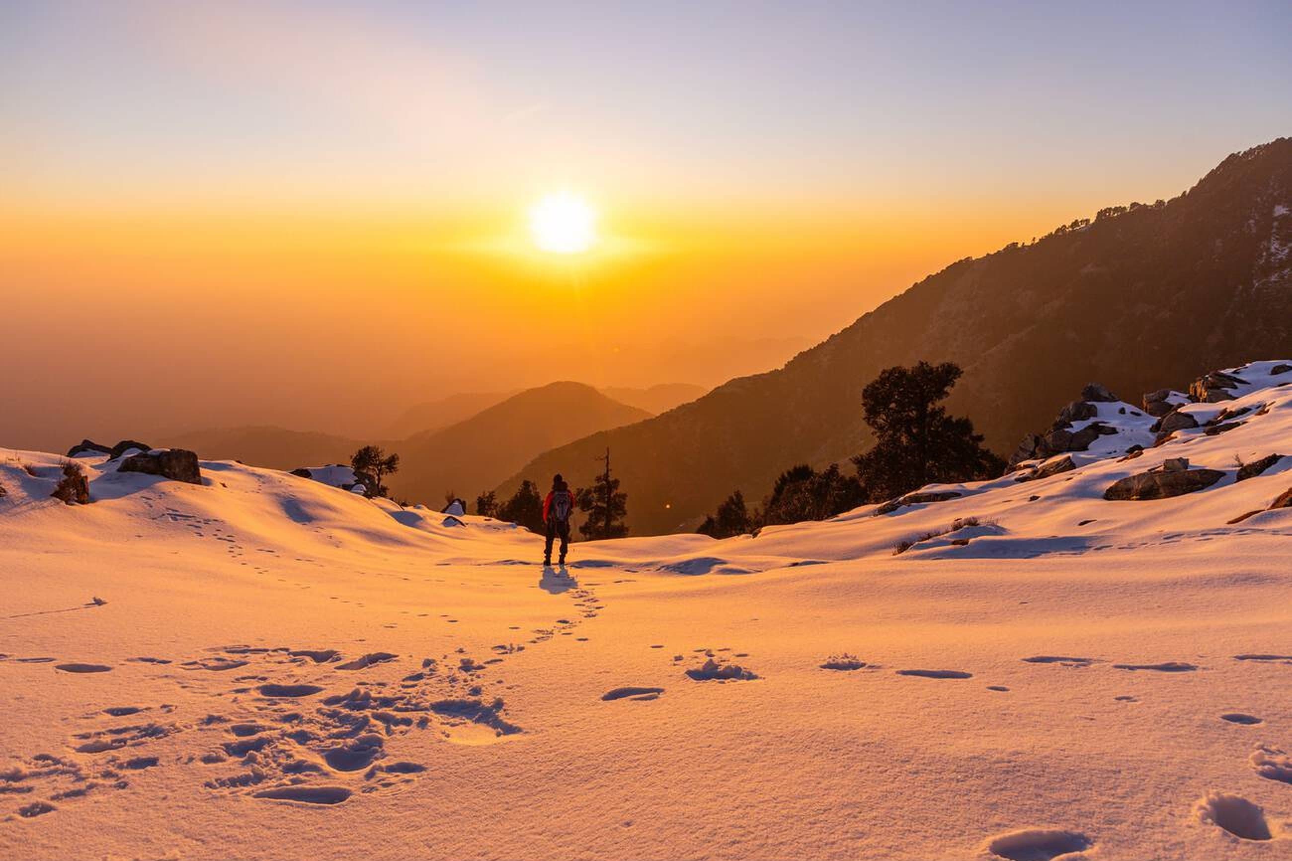 Alpine meadows with Himalayan backdrop