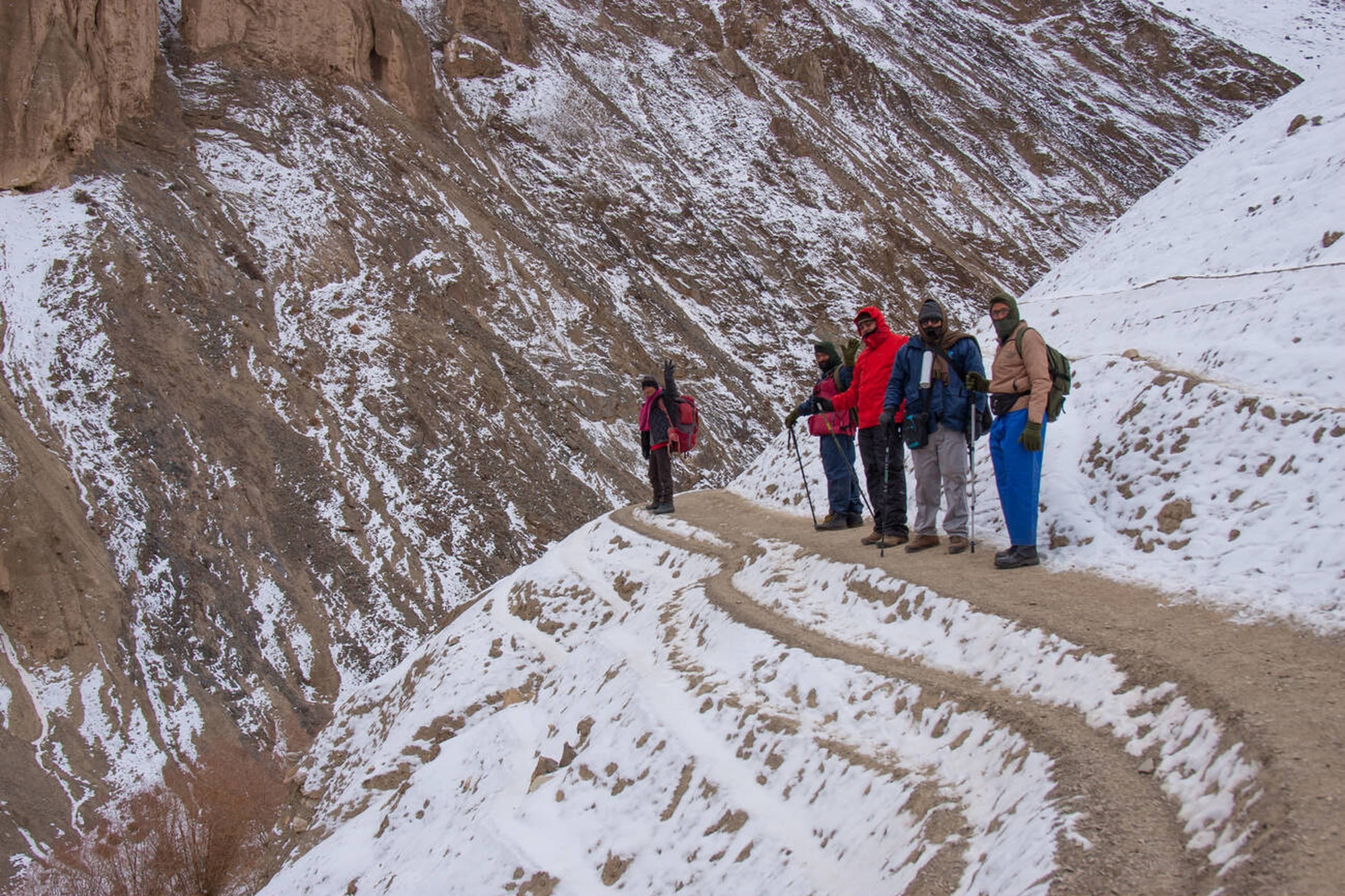 Alpine meadows with Himalayan backdrop