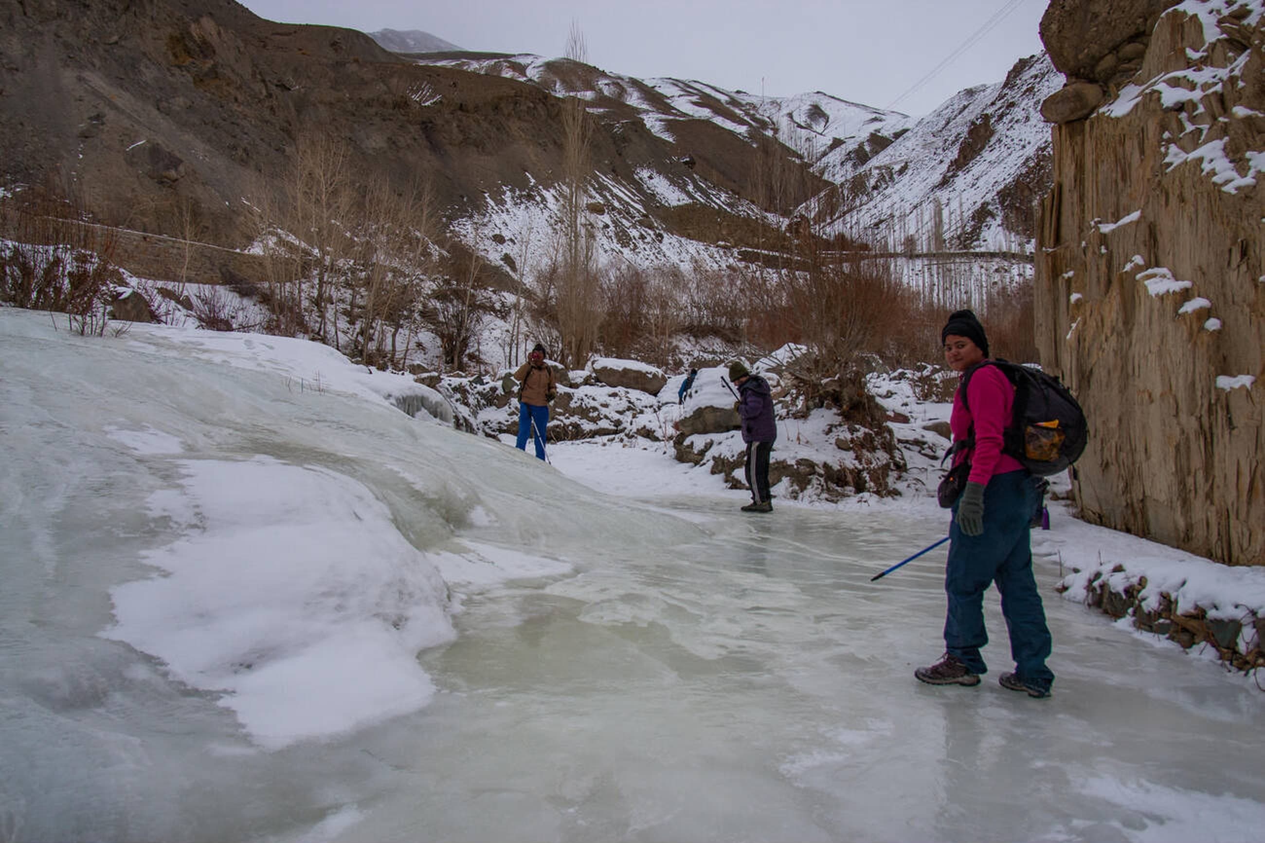 Alpine meadows with Himalayan backdrop